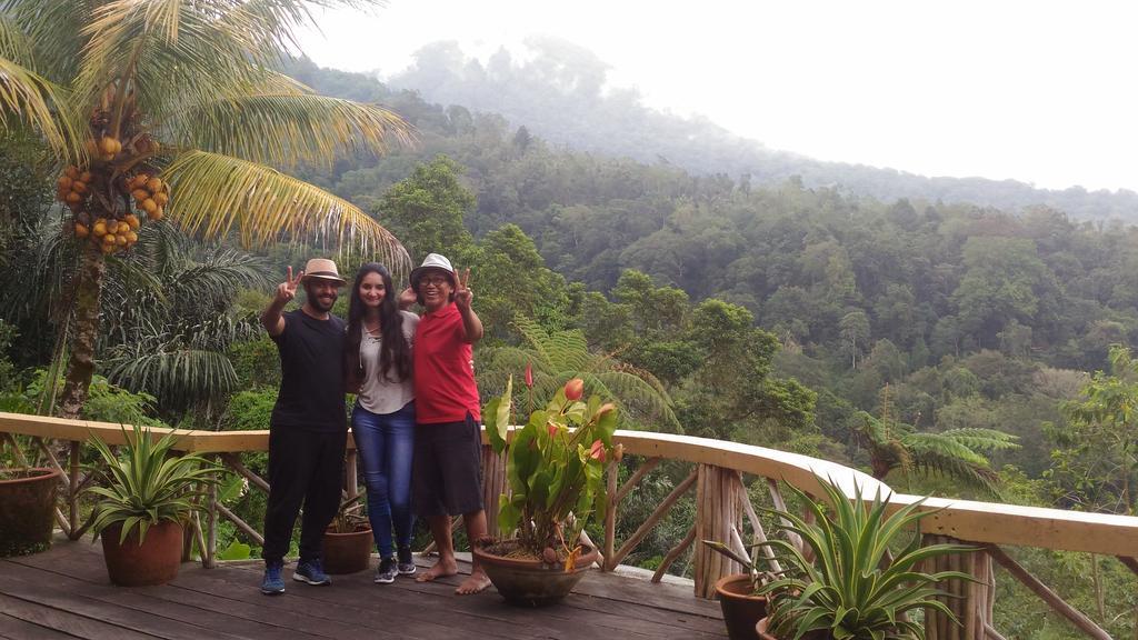 Dwan Tea Mountain Side Bed and Breakfast Desa Desa Jatiluwih Exteriör bild