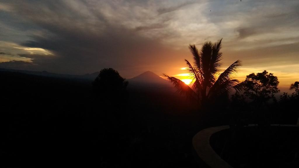 Dwan Tea Mountain Side Bed and Breakfast Desa Desa Jatiluwih Exteriör bild