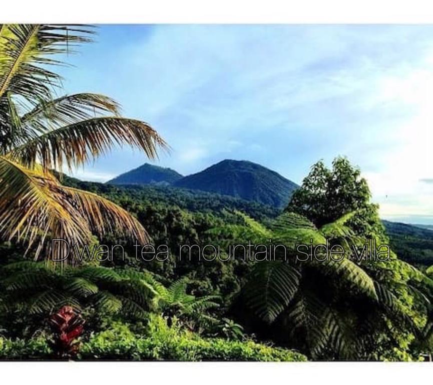 Dwan Tea Mountain Side Bed and Breakfast Desa Desa Jatiluwih Exteriör bild