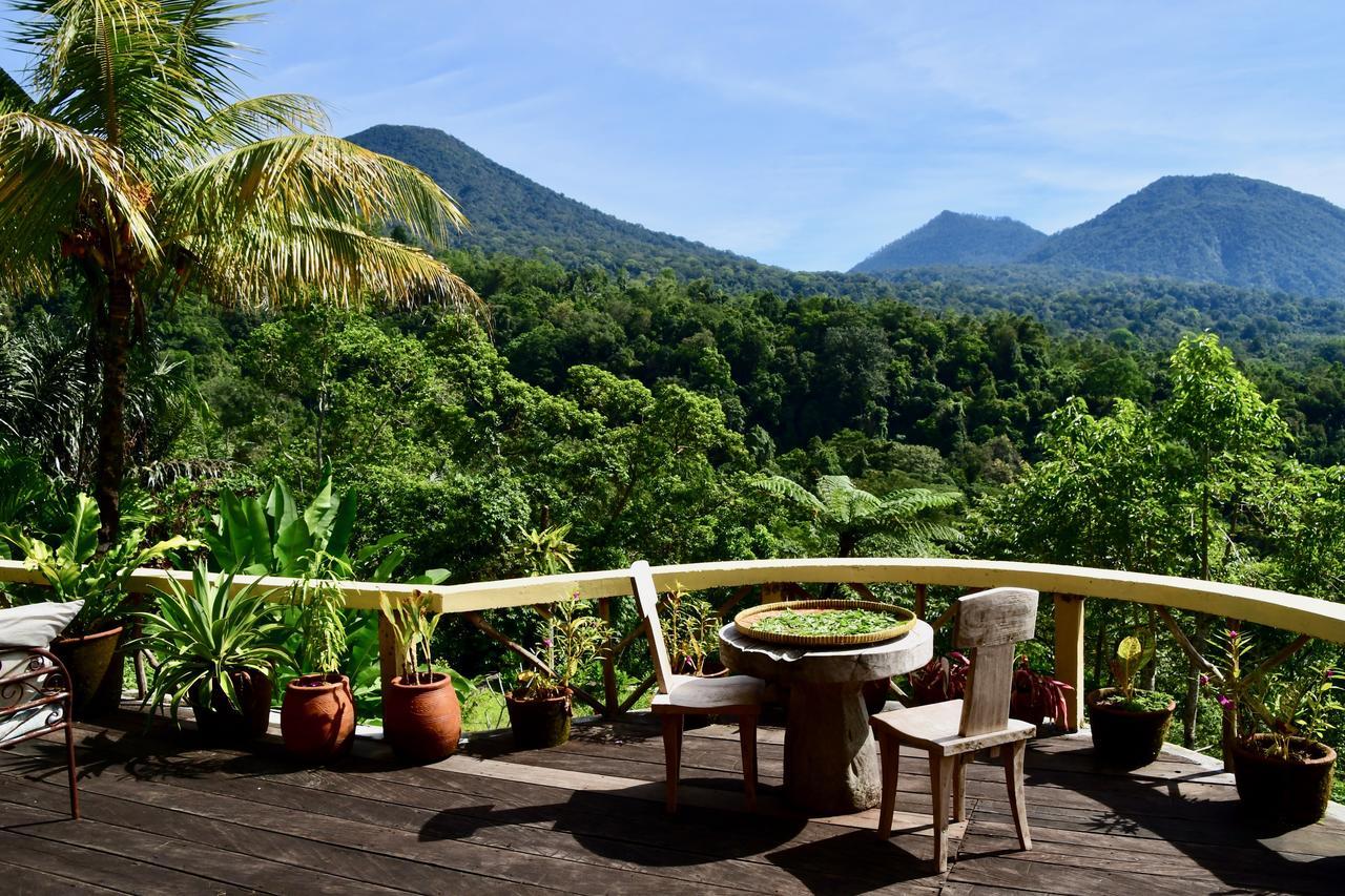 Dwan Tea Mountain Side Bed and Breakfast Desa Desa Jatiluwih Exteriör bild